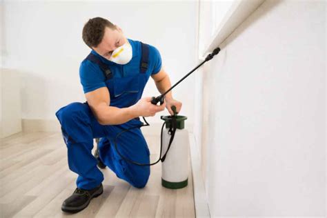 How much pest control cost. Things To Know About How much pest control cost. 